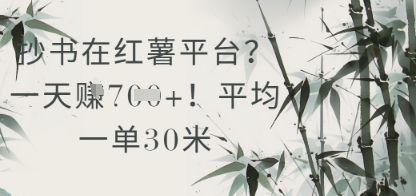抄书在小红薯平台？平均一单30米，一天收益几张！好项目网-专注分享网络创业项目落地实操课程 – 全网首发_高质量创业项目输出好项目网