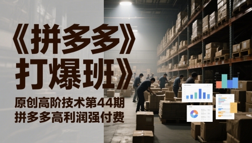 《拼多多打爆班》原创高阶技术第44期，拼多多高利润强付费好项目网-专注分享网络创业项目落地实操课程 – 全网首发_高质量创业项目输出好项目网