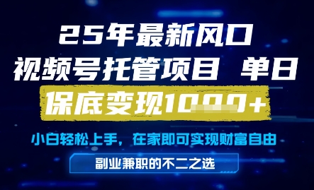 25年最新风口，视频号托管项目，单日保底变现1k+，手把手教学【揭秘】好项目网-专注分享网络创业项目落地实操课程 – 全网首发_高质量创业项目输出好项目网