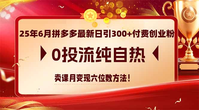 25年6月拼多多最新日引300+付费创业粉，0投流纯自热 卖课月变现六位数方法好项目网-专注分享网络创业项目落地实操课程 – 全网首发_高质量创业项目输出好项目网