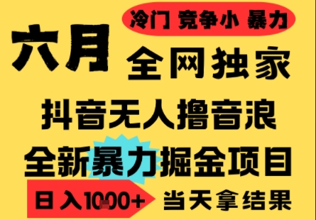 25年6月高爆抖音无人直播最新撸音浪掘金项目，小白可做，无脑日入1k+，门槛低可批量矩阵【揭秘】好项目网-专注分享网络创业项目落地实操课程 – 全网首发_高质量创业项目输出好项目网