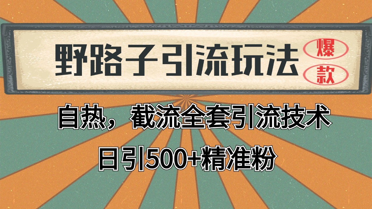 2024首发野路子引流玩法截流自热全平台打法，全自动引流【日引2000+精准客户】好项目网-专注分享网络创业项目落地实操课程 – 全网首发_高质量创业项目输出好项目网