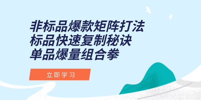 非标品爆款矩阵打法，标品快速复制秘诀，单品爆量组合拳好项目网-专注分享网络创业项目落地实操课程 – 全网首发_高质量创业项目输出好项目网