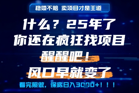 什么？25年你还在疯狂找项目做，醒醒吧，看完这些你全都懂了！【揭秘】好项目网-专注分享网络创业项目落地实操课程 – 全网首发_高质量创业项目输出好项目网
