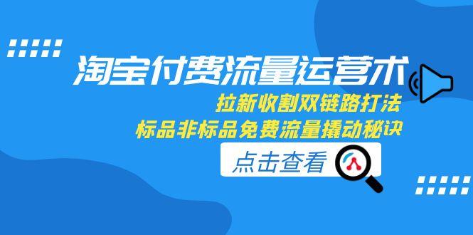 淘宝付费流量运营术，拉新收割双链路打法，标品非标品免费流量撬动秘诀好项目网-专注分享网络创业项目落地实操课程 – 全网首发_高质量创业项目输出好项目网