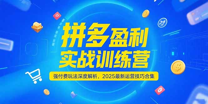 拼多多盈利实战训练营，强付费玩法深度解析，2025运营技巧合集-更新6月好项目网-专注分享网络创业项目落地实操课程 – 全网首发_高质量创业项目输出好项目网