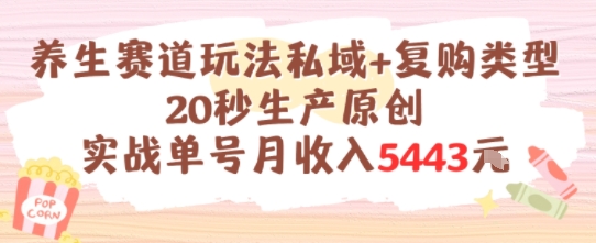 养生赛道玩法私域+复购类型，20秒生产原创实战单号月收入5k+好项目网-专注分享网络创业项目落地实操课程 – 全网首发_高质量创业项目输出好项目网