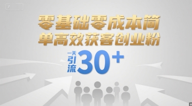 零基础零成本简单高效获客创业粉，一天引流30+好项目网-专注分享网络创业项目落地实操课程 – 全网首发_高质量创业项目输出好项目网