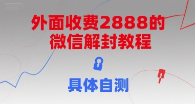 外面收费2888的微信解封教程，具体自测好项目网-专注分享网络创业项目落地实操课程 – 全网首发_高质量创业项目输出好项目网