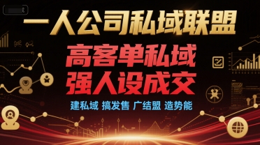 一人公司私域联盟，高客单私域，强人设成交，建私域 搞发售 广结盟 造势能好项目网-专注分享网络创业项目落地实操课程 – 全网首发_高质量创业项目输出好项目网