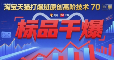 淘宝天猫打爆班原创高阶技术第70期：标品干爆好项目网-专注分享网络创业项目落地实操课程 – 全网首发_高质量创业项目输出好项目网