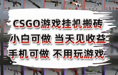 CSGO游戏挂G搬砖，小白纯手机即可操作，不用电脑打游戏，日入3张+，副业网创项目【揭秘】好项目网-专注分享网络创业项目落地实操课程 – 全网首发_高质量创业项目输出好项目网