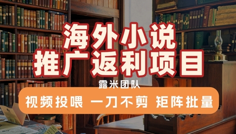 海外小说推广返利项目，视频投喂， 一刀不剪，矩阵批量好项目网-专注分享网络创业项目落地实操课程 – 全网首发_高质量创业项目输出好项目网