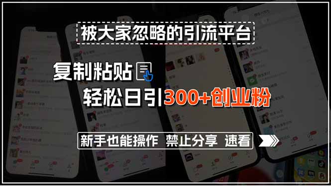 被大家忽略的引流平台，复制粘贴轻松日引300+创业粉，新手也能操作，禁…好项目网-专注分享网络创业项目落地实操课程 – 全网首发_高质量创业项目输出好项目网