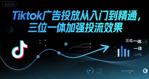Tiktok广告投放从入门到精通，三位一体加强投流效果好项目网-专注分享网络创业项目落地实操课程 – 全网首发_高质量创业项目输出好项目网