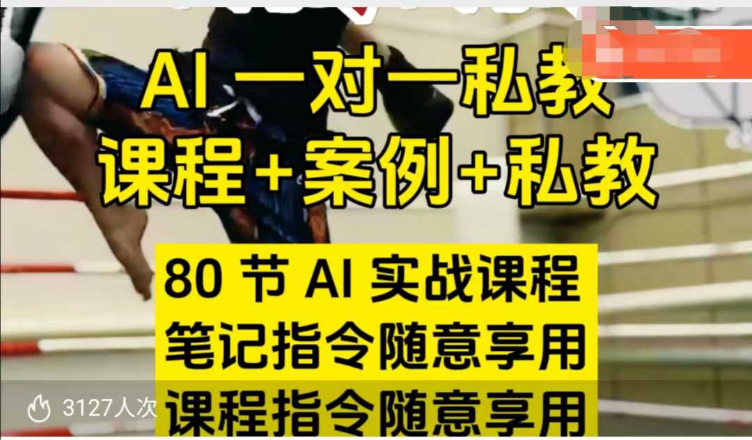 AI指令实战课，课程+案例，80节AI实战课程，笔记指令随意享用，课程指令随意享用(更新7月)好项目网-专注分享网络创业项目落地实操课程 – 全网首发_高质量创业项目输出好项目网