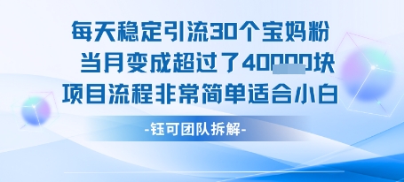 每天稳定引流30个人 当月变成超过了4个W项目流程非常简单适合小白好项目网-专注分享网络创业项目落地实操课程 – 全网首发_高质量创业项目输出好项目网