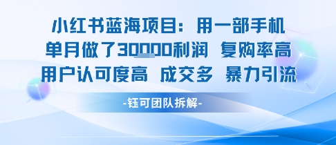 小红书蓝海项目，一部手机单月做了3W利润，小白也能月入过1W用户认可度高成交多好项目网-专注分享网络创业项目落地实操课程 – 全网首发_高质量创业项目输出好项目网