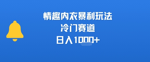 情趣内衣暴利玩法，冷门赛道，日入1k+好项目网-专注分享网络创业项目落地实操课程 – 全网首发_高质量创业项目输出好项目网