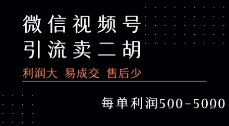 视频号卖二胡教程，利润大 易成交 售后少，一单利润5张+好项目网-专注分享网络创业项目落地实操课程 – 全网首发_高质量创业项目输出好项目网