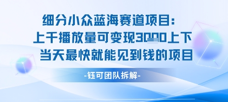 小众蓝海赛道项目：当天变现1k+适合新手操作 +适合长期玩好项目网-专注分享网络创业项目落地实操课程 – 全网首发_高质量创业项目输出好项目网