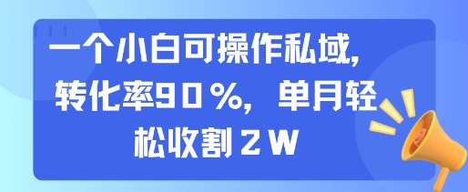 一个小白可操作私域，转化率90%，单月轻松收割2W好项目网-专注分享网络创业项目落地实操课程 – 全网首发_高质量创业项目输出好项目网